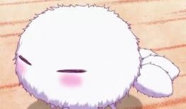 动漫中的萌宠,动漫中的软萌担当