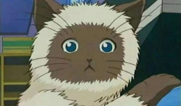 动漫中的萌宠,动漫中的软萌担当